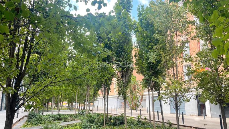 Foto 5684aae4-44dc-4228-88c7-e132f0ef20c7. Pis a Bon Pastor Barcelona