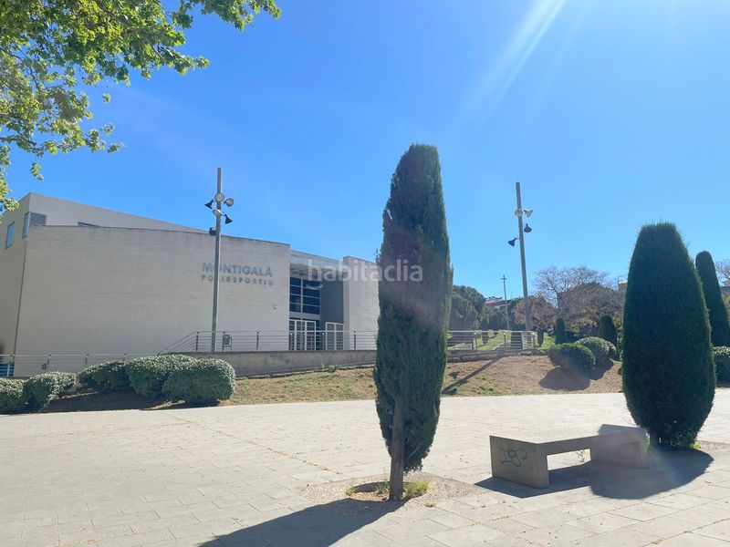 Foto 980aff9c-eb55-412b-851d-d097e3596176. Pis a Puigfred Badalona