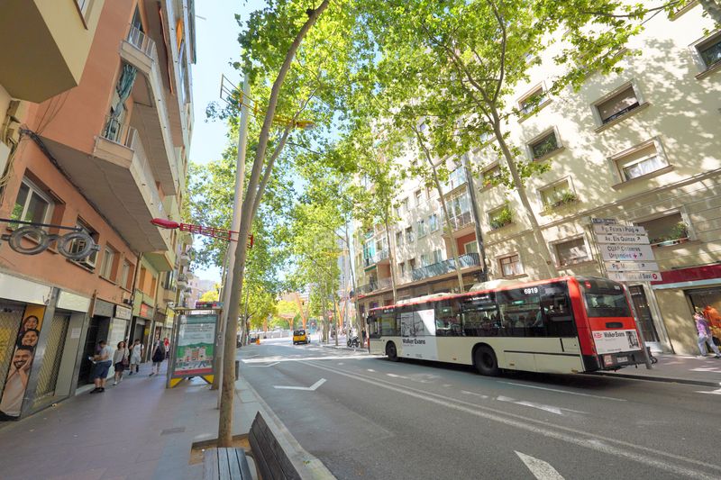 Foto a8e0035b-d428-4347-b686-14fd1ede85e3. Pis a Porta Barcelona