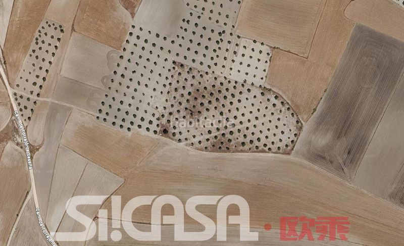 Foto 427c069f-6c34-4749-a9f4-4f9f42ec076a. Finca rústica a Torrejón de Velasco