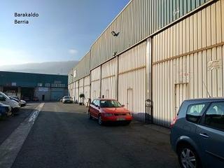 Nau industrial a Polígono industrial aurrera poligonoa 185