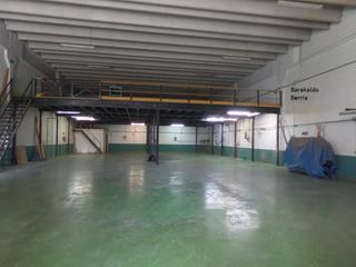 Rent Industrial building in Polígono industrial ibarzaharra poligonoa 1