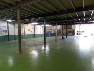 Nau industrial a Polígono industrial ibarzaharra poligonoa 1