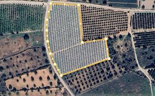 Fondo rustico in Urbanizaciones. Excelente parcela rural agropecuaria en lliria con naranjos prod