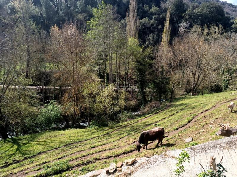 Foto be79d540-a6b3-47d5-a5d1-8be9172731f5. Finca rústica terreno urbano con proyecto incluido en Potes
