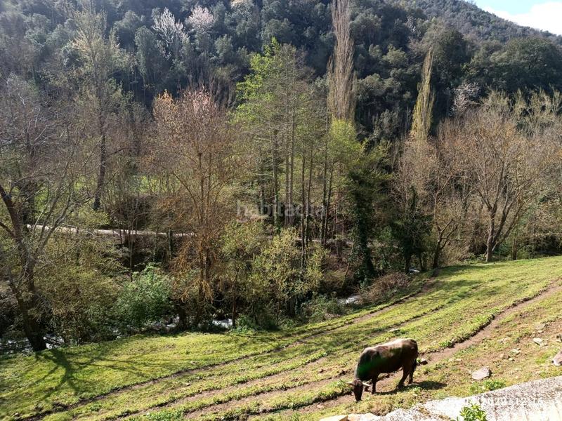 Foto f04f7edd-12f1-41aa-afd4-e371f060b26d. Finca rústica terreno urbano con proyecto incluido en Potes