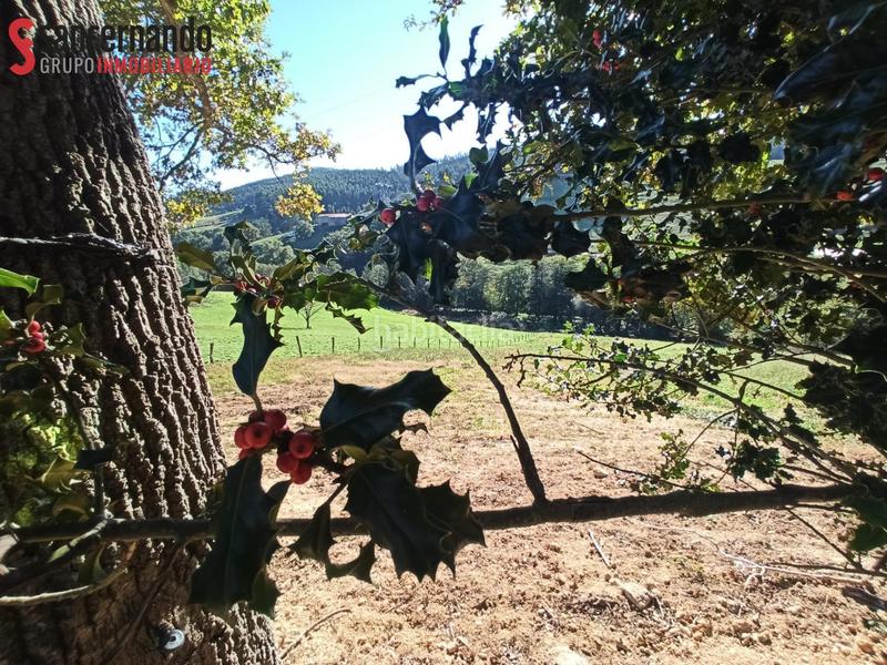 Foto 3a0d23a8-f192-4cbe-9f57-8cb6553d1b75. Landgut in Tanos Torrelavega