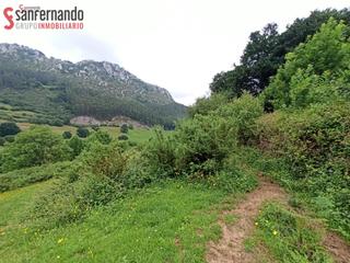 Finca rústica a Puente Viesgo. Terreno en puente viesgo con cabaña, luz y agua