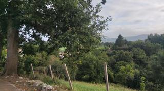 Terreny residencial a Cartes. Finca urbana en venta en cartes