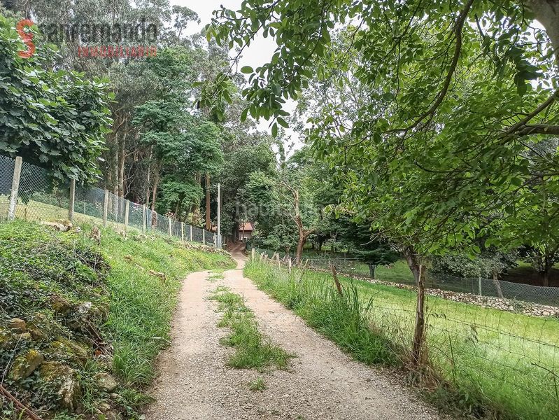 Foto ee39cf75-40bd-4aaf-aef4-448325351780. Finca rústica a Reocín