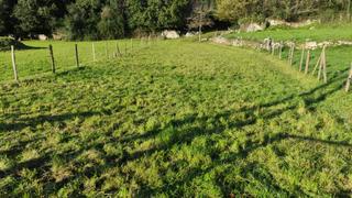 Propriété à Reocín. Terrenos en golbardo