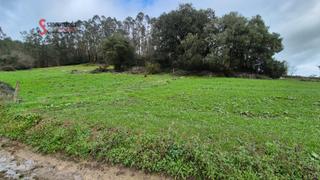 Finca rústica en Hazas de Cesto. Terreno rustico en hazas de cesto.