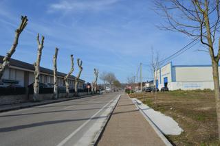 Industrial plot in Cudón. Venta de suelo industrial en miengo 950.000