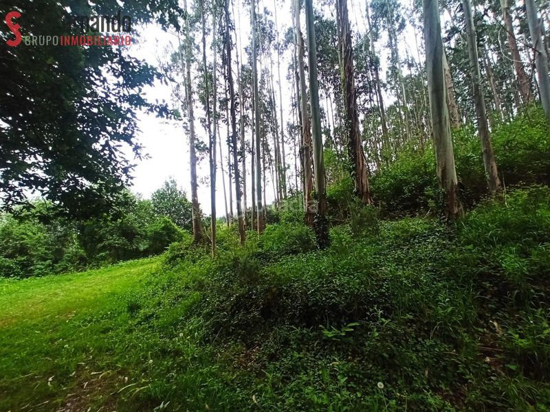 Foto 17d29214-b359-416c-81a4-8e83bf85d125. Finca rústica a Puente Viesgo