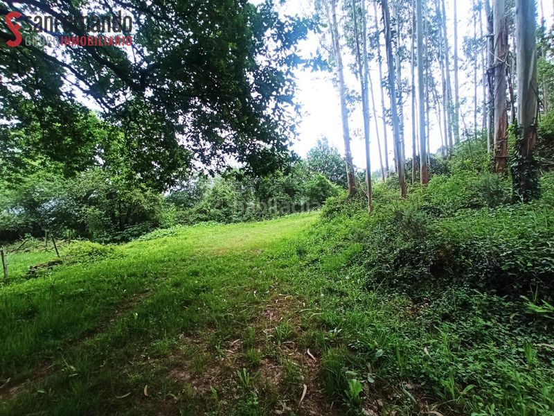 Foto da90808f-259b-4850-b578-122528c26561. Finca rústica a Puente Viesgo