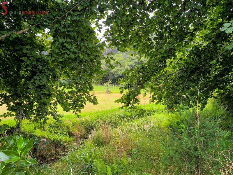 Foto d6e0d680-6d69-4231-9ea3-cc1d32fb6175. Finca rústica a Castañeda