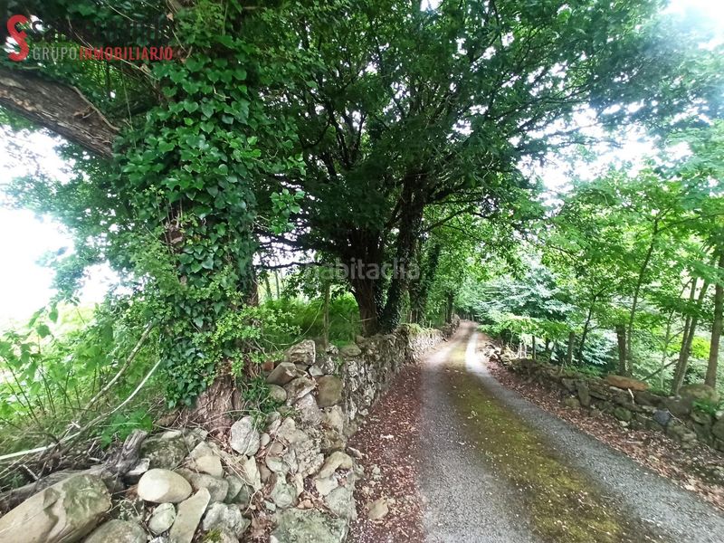 Foto 0caf767f-e87b-4222-bbd6-db5676e35c0c. Finca rústica a Reocín
