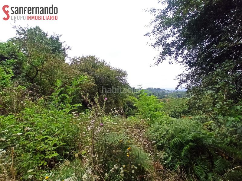 Foto 490bf48f-16d4-4e8f-8db9-e17eee688e51. Finca rústica a Reocín