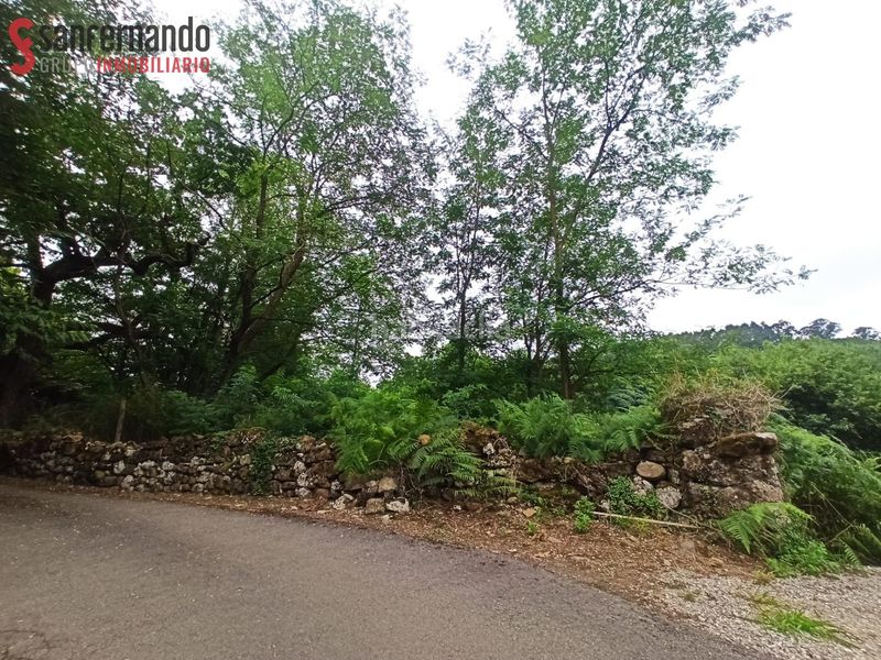 Foto 625d4153-1676-48d2-ac8c-5eaca13e4e7f. Finca rústica a Reocín