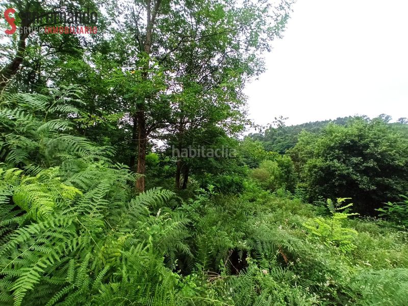 Foto 70a28647-fe09-414e-b5c4-43981a11c107. Finca rústica a Reocín