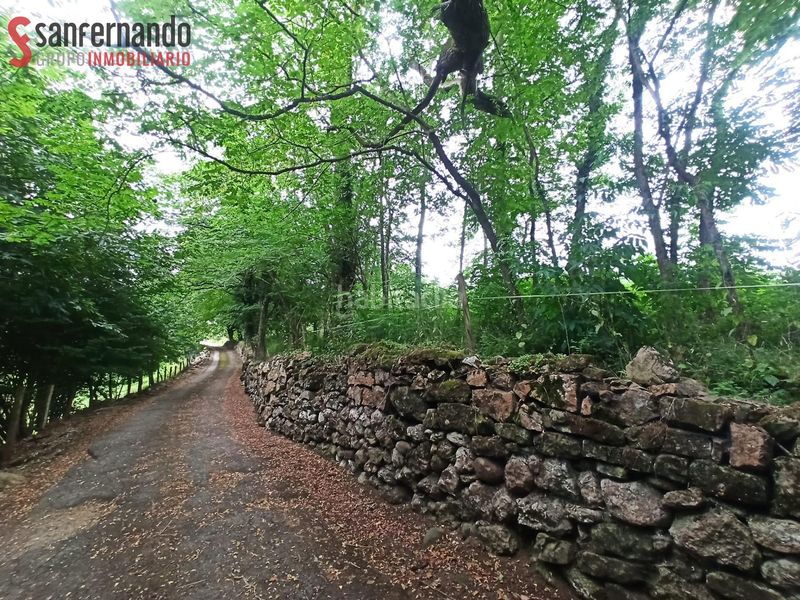Foto 98dce461-51f7-446d-b8fb-69972ac69cbc. Finca rústica a Reocín