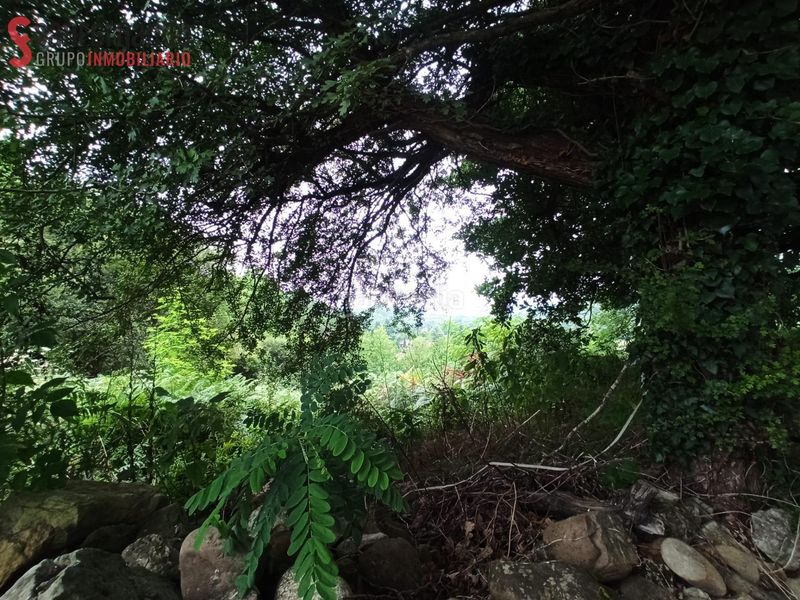 Foto e49b2636-166f-4a01-b962-50cf744e975f. Finca rústica a Reocín