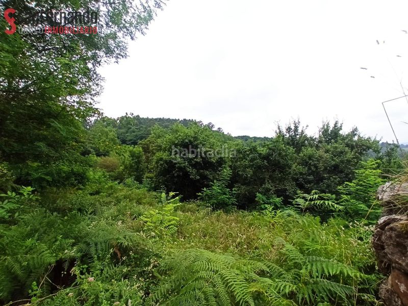 Foto f8f7d0f7-efd5-4943-b827-34a94197bfc0. Finca rústica a Reocín