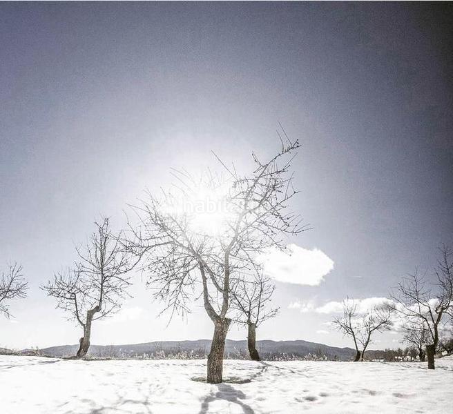 Foto b28c106d-72f0-496a-9009-1aa3d22d3074. Appartement dans santa ana 25 dans Torre de les Maçanes (la)