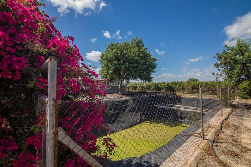 Foto 4cf8730a-e5c6-485b-b444-ba6b2305e437. Chalet avec chauffage parking piscine dans Alzabares Elche / Elx