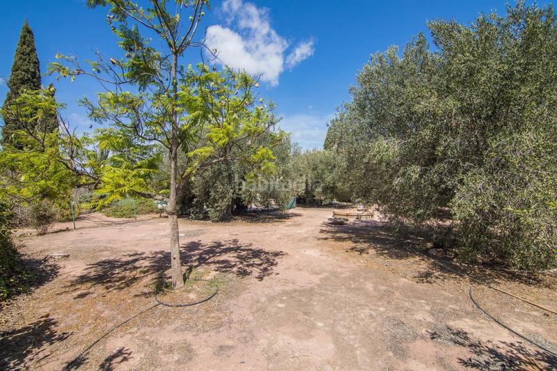 Foto 7659c74d-4dfc-4210-9ed7-c01c410d153e. Chalet avec chauffage parking piscine dans Alzabares Elche / Elx