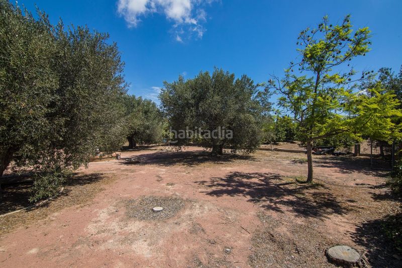 Foto 932b7c27-15d2-4d57-b332-6ef0e20b6a1c. Xalet amb aparcament piscina a Alzabares Elche / Elx