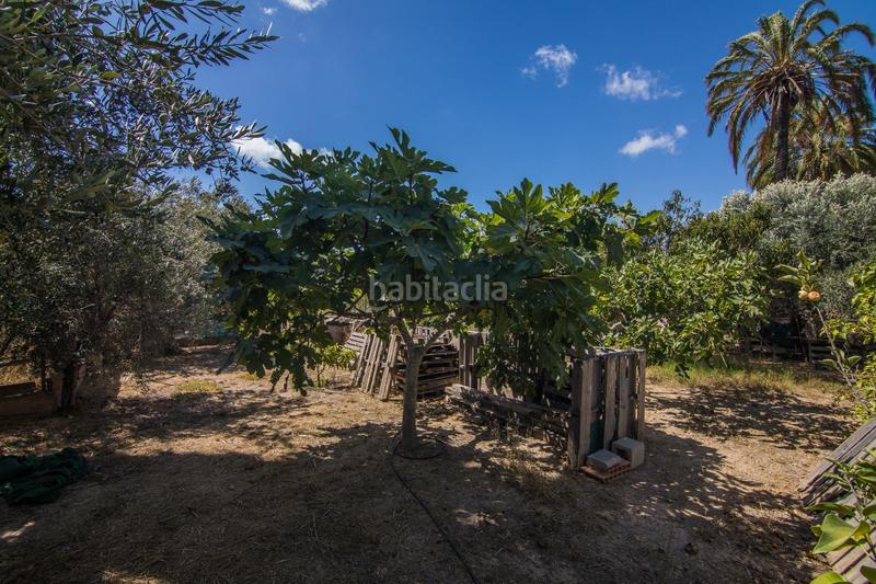 Foto d17b212e-0e59-462d-b88a-aa3fce4ffbe8. Chalet avec chauffage parking piscine dans Alzabares Elche / Elx