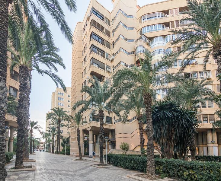 Foto d6219c46-5ce2-40d0-af8b-28bdc9b2dba7. Appartement dans eugenio d'ors 3 dans Centro Elche / Elx