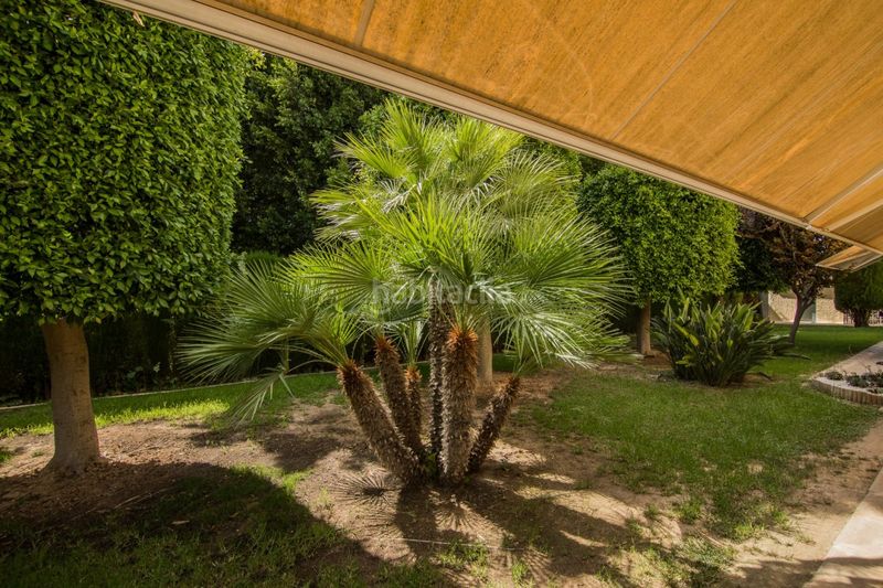 Foto 2f4be817-552b-4d00-82c6-031ac6146d78. Xalet amb aparcament piscina a Alzabares Elche / Elx