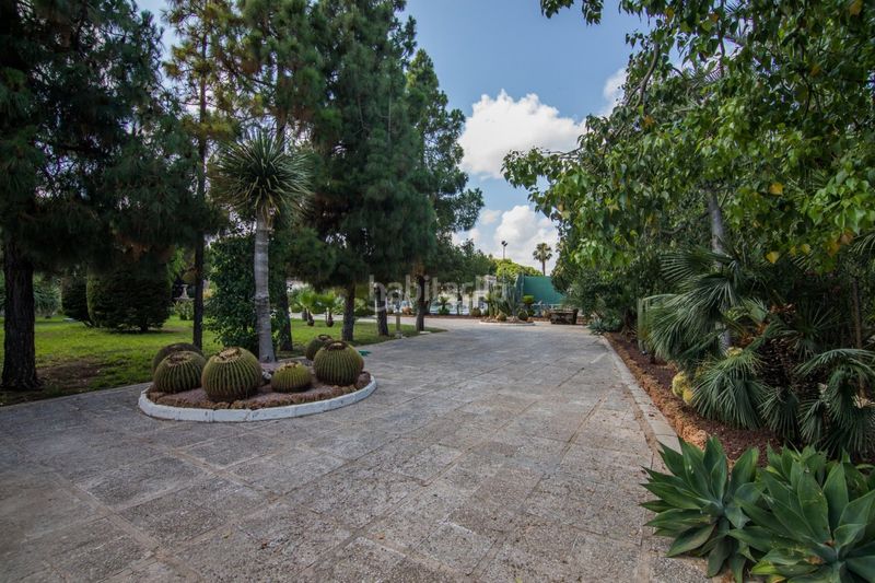 Foto 48d2575d-89e5-4976-a400-d5bf70d2df65. Xalet amb aparcament piscina a Alzabares Elche / Elx