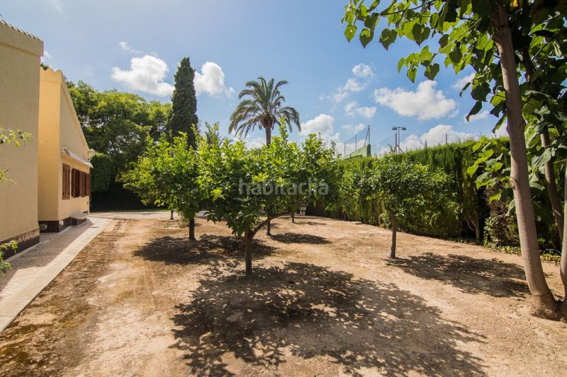 Foto 82835277-d944-47aa-9c88-15e45c2014ad. Xalet amb aparcament piscina a Alzabares Elche / Elx