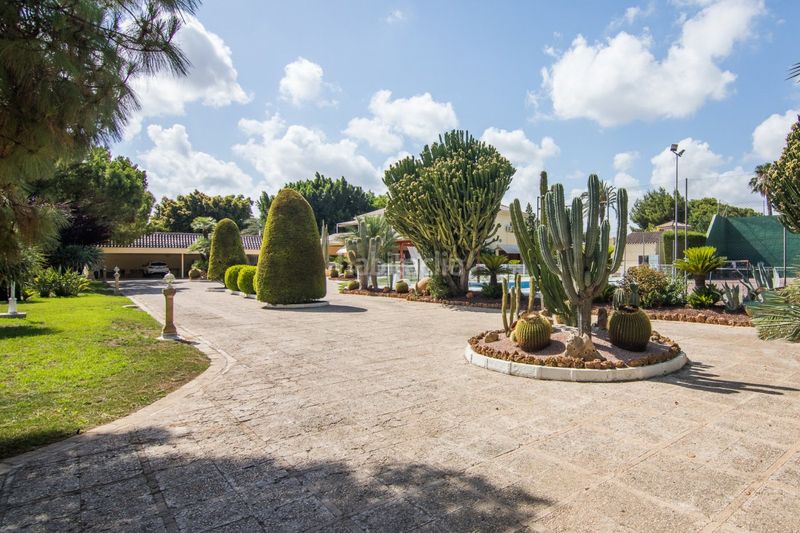 Foto abe70579-5258-427d-9eba-83658221ba90. Xalet amb aparcament piscina a Alzabares Elche / Elx