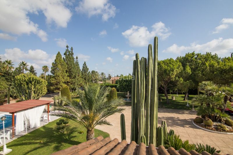 Foto f05c06d5-148e-4823-b9aa-a7a8f9bce766. Xalet amb aparcament piscina a Alzabares Elche / Elx