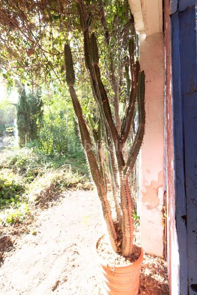 Foto 5bfb4657-0e16-45ab-9041-8b7d620b3009. Casa amb aparcament a Riba - roja de Túria