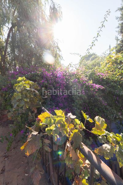 Foto 7b08a63d-41ba-4681-b552-fb7437792449. Casa amb aparcament a Riba - roja de Túria