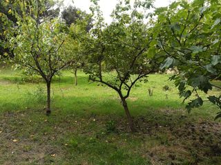 Terreno residencial en Sant Pere de Vilamajor. Terreny a can vila