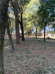 Terreny residencial a Carrer el sui 19