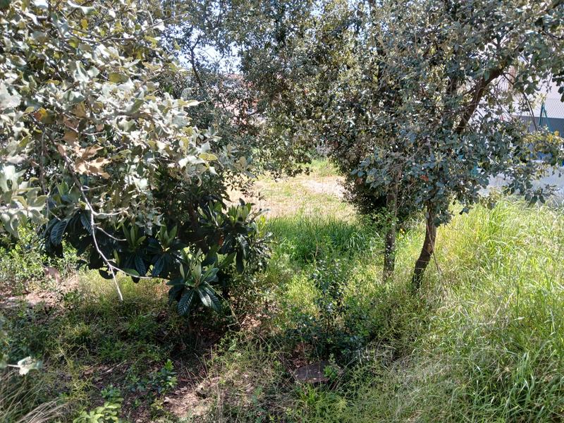 Foto 8199c8b7-7925-4dca-aed4-7d2a994982a1. Terreno residencial fantàstic terreny a can sauleda en Sant Antoni de Vilamajor