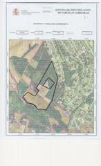 Terreno residencial en Sils