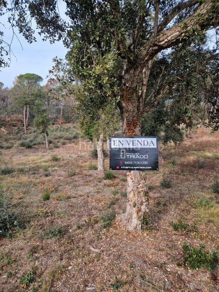 Foto 02fc221a-bde9-45aa-a105-e85e5f50e492. Terreny residencial a avinguda catalunya 47 a Sils