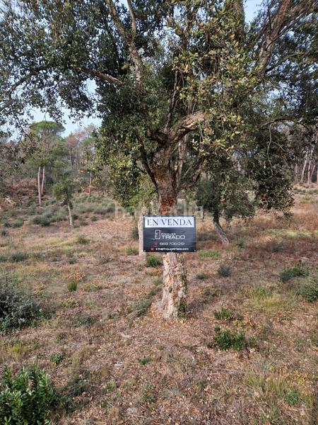 Foto 2c9e8c3c-9c7d-4ff7-a736-7eff4164f9fb. Terreny residencial a avinguda catalunya 47 a Sils