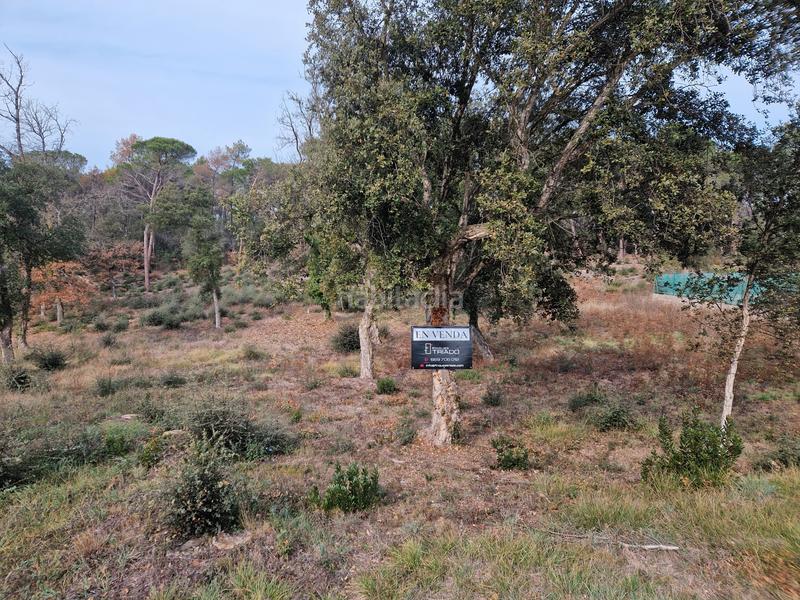 Foto de4e737f-5abf-45d8-bc9d-444fe51177f5. Terreny residencial a avinguda catalunya 47 a Sils