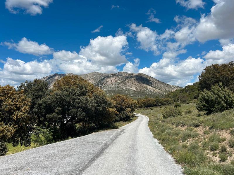 Foto 753274bb-ffbb-4be3-a4a3-4a84bb3c4a8c. Mas dans Pozo Alcón