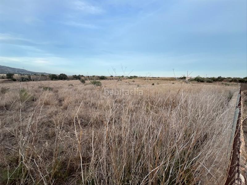 Foto 10799f47-ef98-4065-b9f9-95413a2cba2e. Finca rústica parcela rústica en Alcossebre