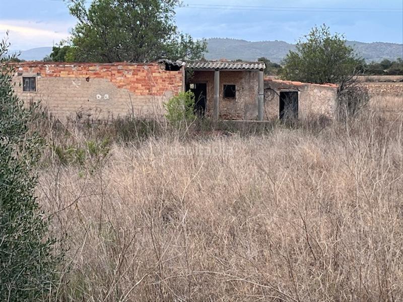 Foto 95119346-e164-430f-abb0-26f1251cbd22. Finca rústica parcela rústica en Alcossebre